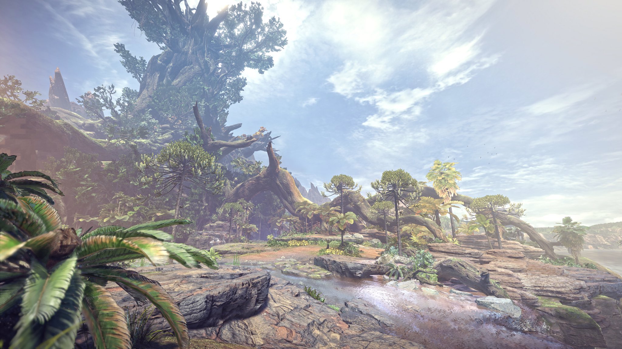 Monster Hunter Screenshot 1