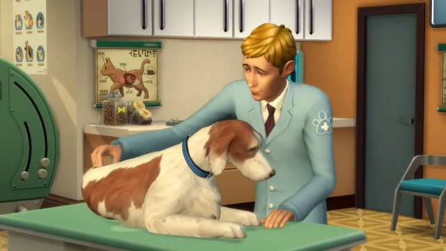 The Sims 4 Vet Career Cats and Dogs