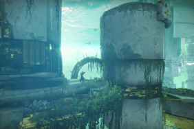 Destiny 2 Infinite Forest