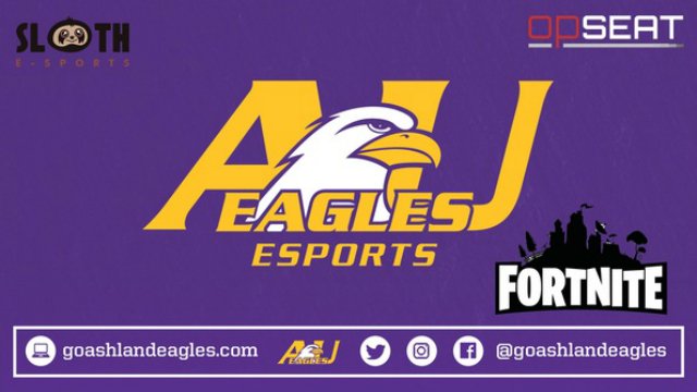 Fortnite eSports Scholarship Ashland University Ohio