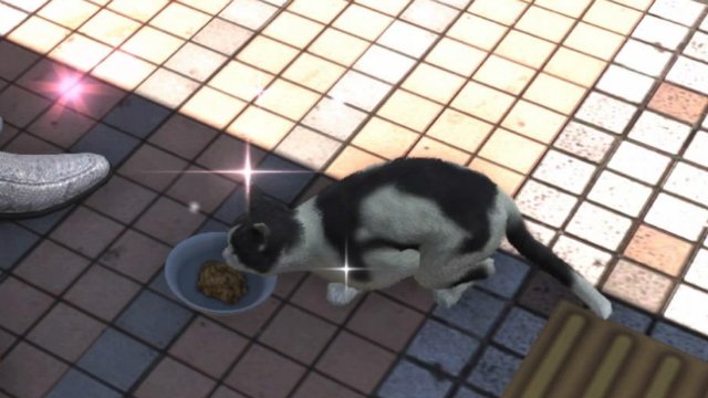 Yakuza 6 Cat Locations Guide