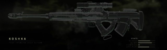Call of Duty Black Ops 4 Gun List 11