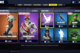 Fortnite Daily Items