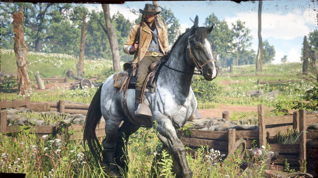 Red Dead Redemption 2 Access DLC