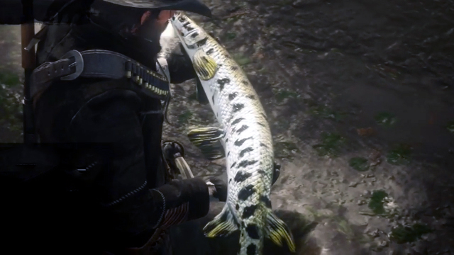 Red Dead redemption 2 Legendary Longnose Gar