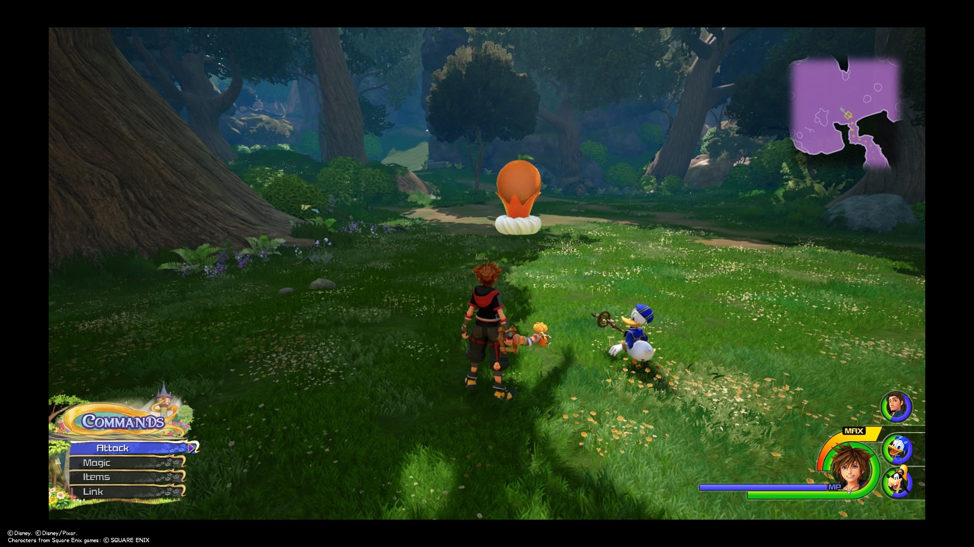 Kingdom Hearts 3 Flantastic Location