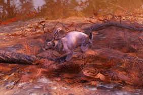 Fallout 76 rabbit location