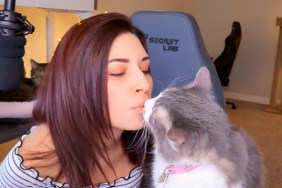 Alinity vodka kiss