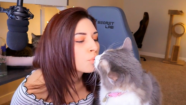 Alinity vodka kiss