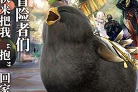 Ff14 Black Fat Chocobo