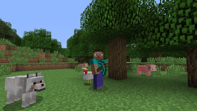 Minecraft player arrested