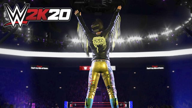 WWE 2K20 Collector's Edition