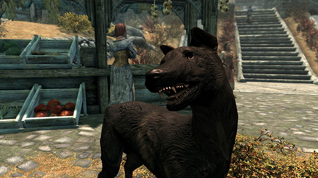 Skyrim mod immortalizes creator's beloved dog who passed away