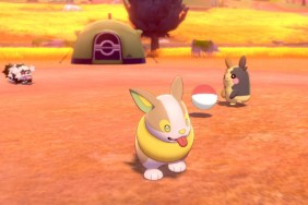 Pokemon Sword and Shield Nintendo Direct Camp