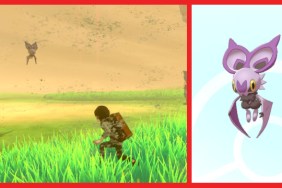 How to catch Noibat in the Pokemon Sword and Shield Wild Area