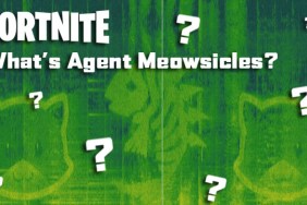 Fortnite Agent Meowsicles