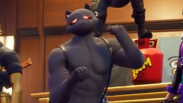 new Fortnite cat skin