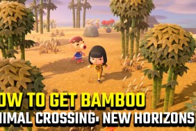 ANIMAL CROSSIING NEW HORIZONS bamboo