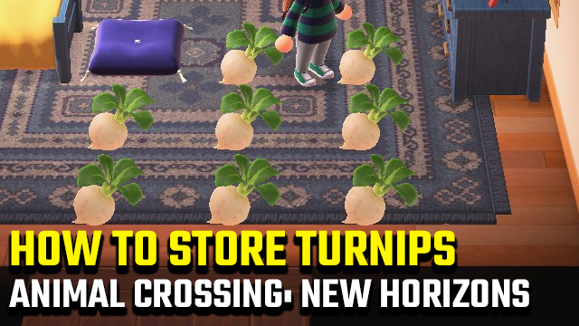 ANIMAL CROSSING NEW HORIZONS TURNIP STORAGE