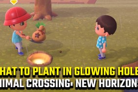 Animal Crossing: New Horizons Golden Hole