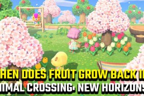 When Does Fruit Grow Back in Animal Crossing New Horizons