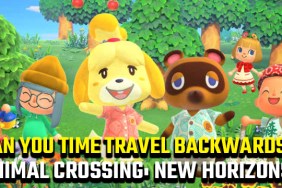 animal crossing new horizons time travel backwards