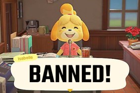 animal crossing new horizons time travel ban