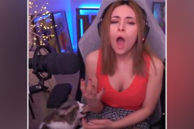 twitch alinity cat bite