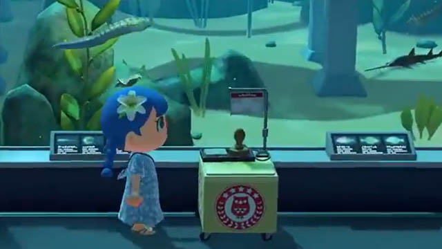 Animal Crossing: New Horizons International Museum Day