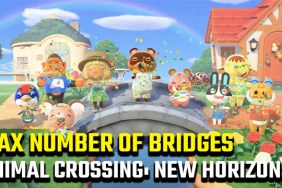 How many bridges in Animal Crossing: New Horizons?