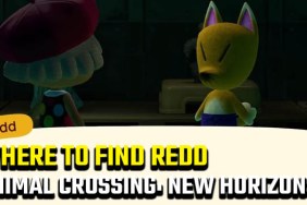 Where is Redd in Animal Crossing: New Horizons?