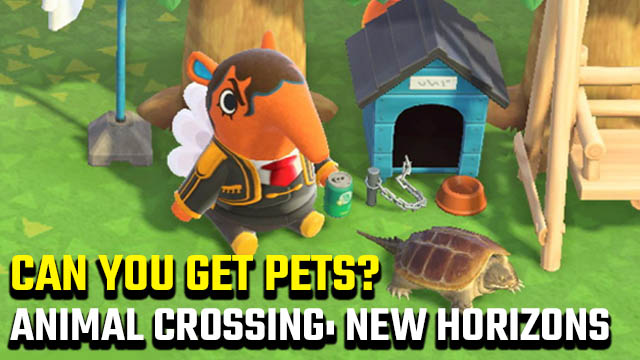 can you get pets in Animal Crossing: New Horizons?