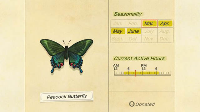 how to catch Peacock Butterfly in Animal Crossing: New Horizons