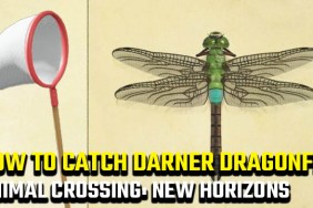 how to catch a Darner Dragonfly in Animal Crossing: New Horizons