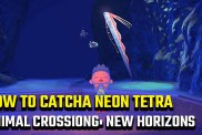 how to catch a Neon Tetra in Animal Crossing: New Horizons