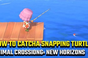 how to catch a Snapping Turtle in Animal Crossing: New Horizons