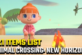 Animal Crossing New Horizons 2x1 Items