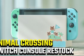 animal crossing switch console restock