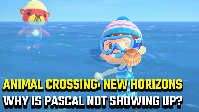 ANIMAL CROSSING NEW HORIZONS WHY IS PASCAL NOT SHOWING UP