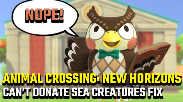 Animal Crossing: New Horizons Blathers won't accept sea creatures fix