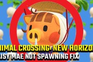 Animal Crossing: New Horizons Daisy Mae not on island fix