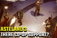 Wasteland 3 co-op