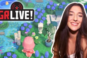 animal crossing new horizons cute island