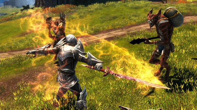 Kingdoms of Amalur: Re-Reckoning multiplayer