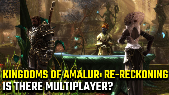 Kingdoms of Amalur: Re-Reckoning multiplayer