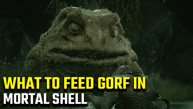 What to feed Gorf in Mortal Shell to get shaders