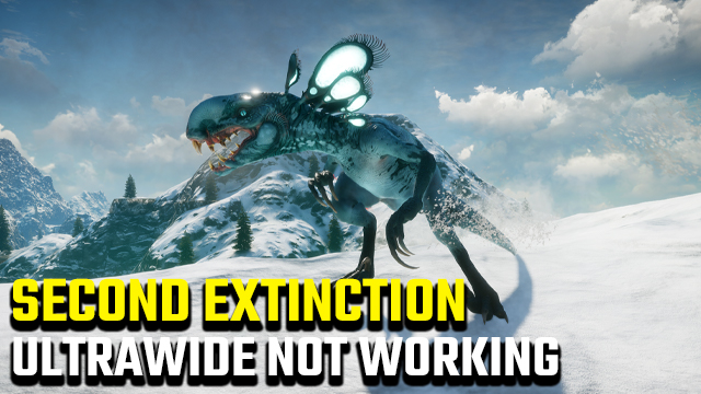 second extinction ultrawide not working