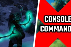 Valheim console commands not working