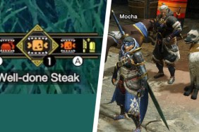 Monster Hunter Rise Well-Done Steak