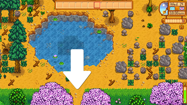 Stardew Valley Flower Dance location